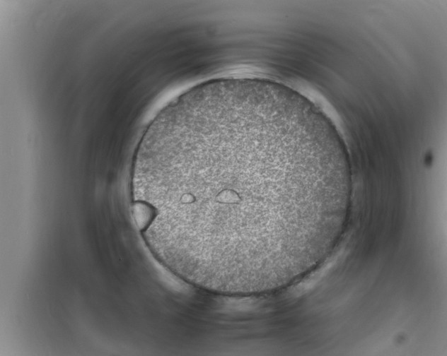 X0000100981429200807221223