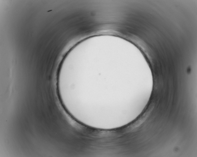 X0000100981430200807221223