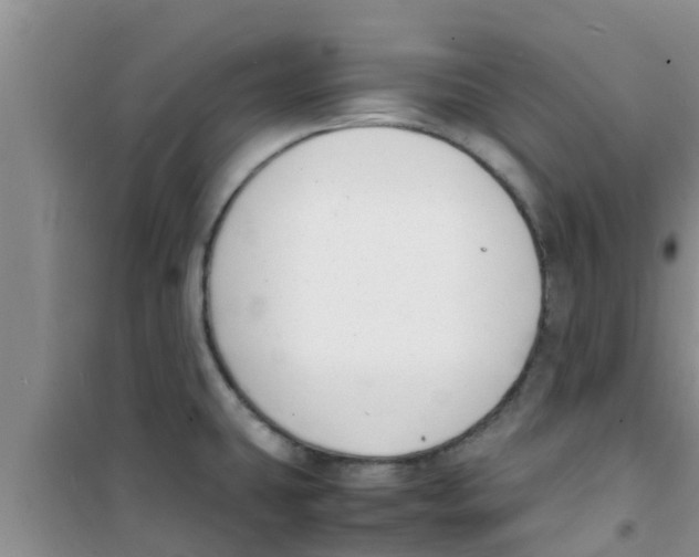 X0000100981431200807221223