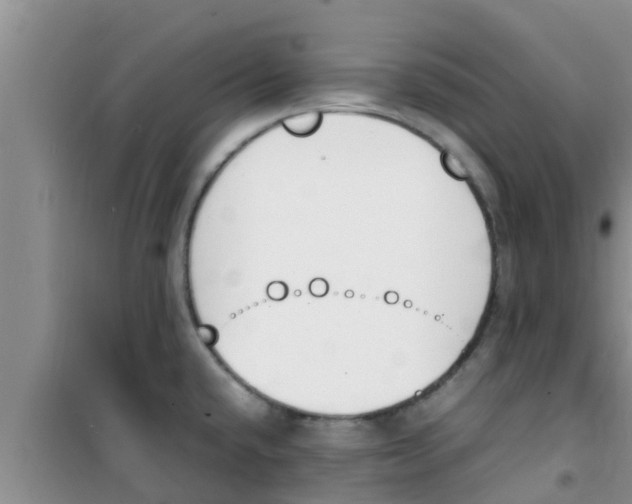 X0000100981432200807221223