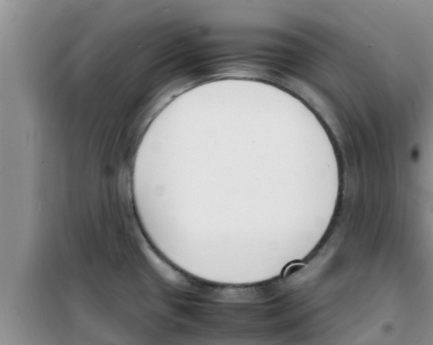 X0000100981433200807221223