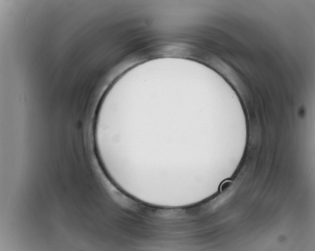 X0000100981434200807221223