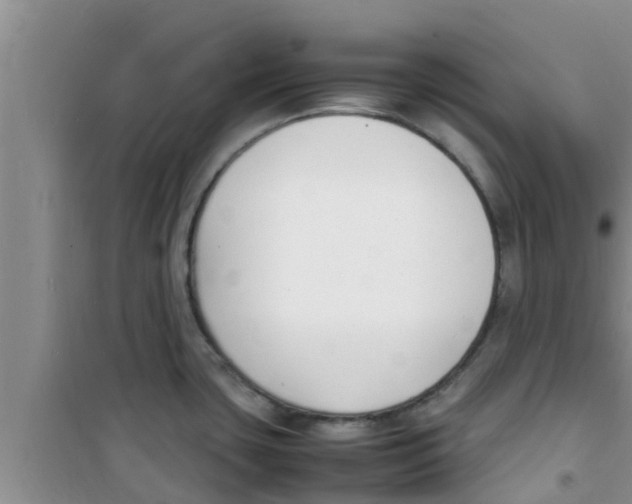 X0000100981435200807221223