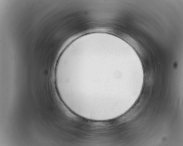 X0000100981436200807221223