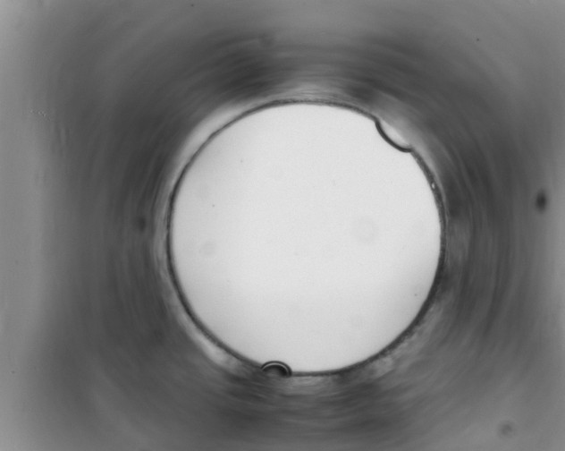 X0000100981437200807221223