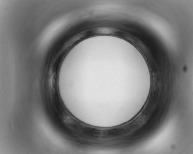 X0000100981438200807221223