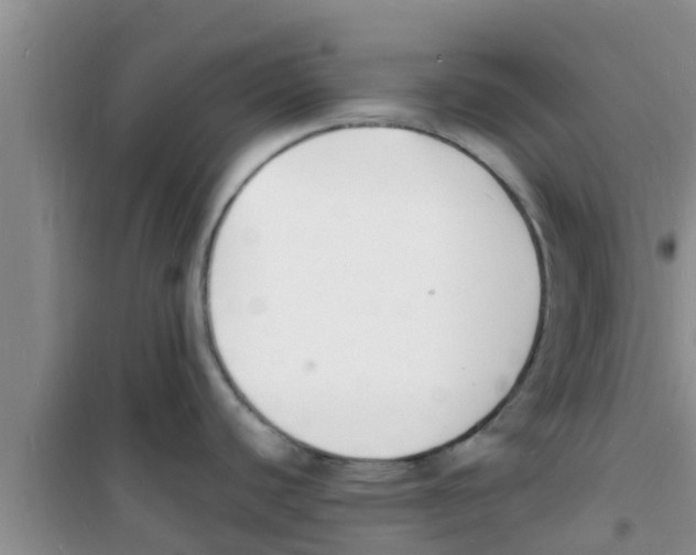 X0000100981440200807221223