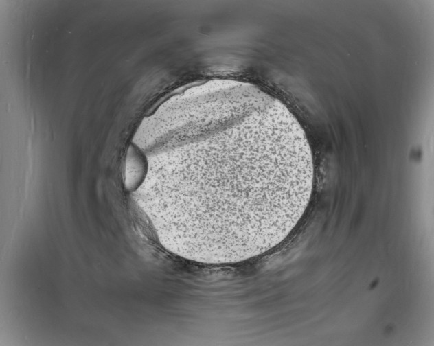 X0000100981441200807221222