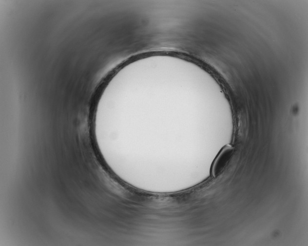 X0000100981452200807221222