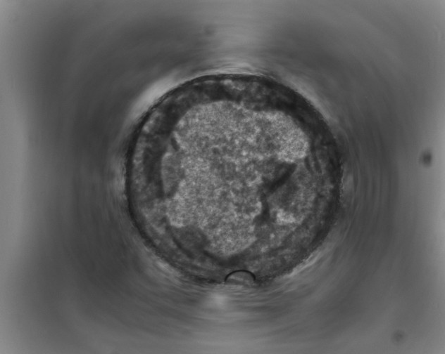 X0000100981455200807221222