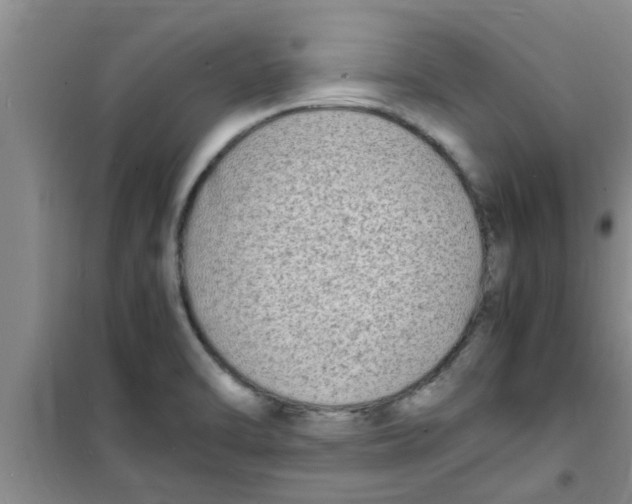 X0000100981470200807221222