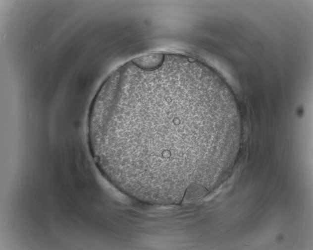 X0000100981471200807221222