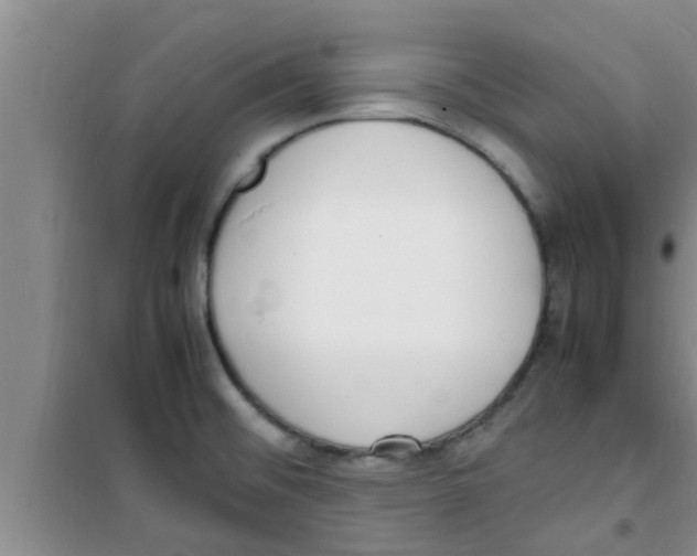 X0000100981476200807221222