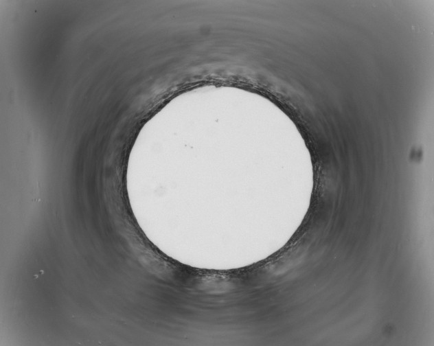 X0000100981489200807221221