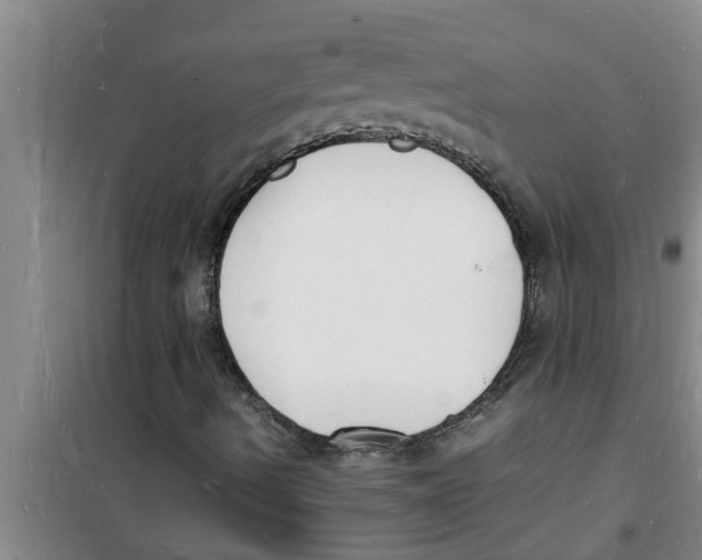 X0000100981490200807221221