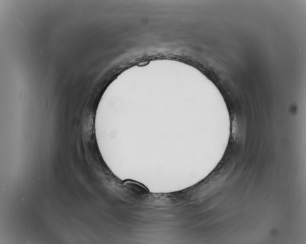 X0000100981492200807221221