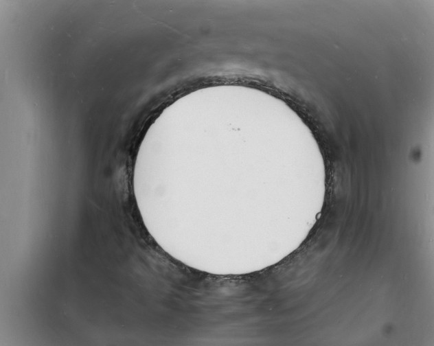 X0000100981493200807221221