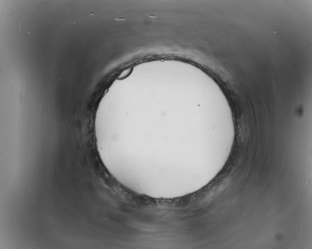 X0000100981494200807221221