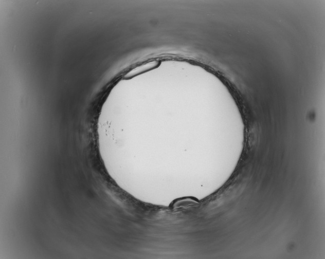 X0000100981496200807221221