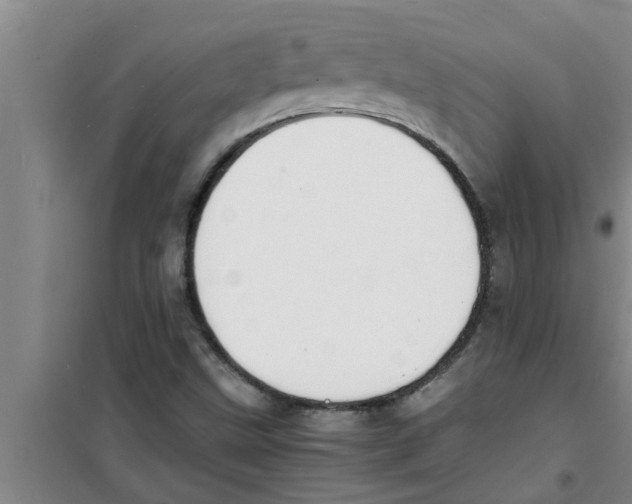 X0000100981499200807221221