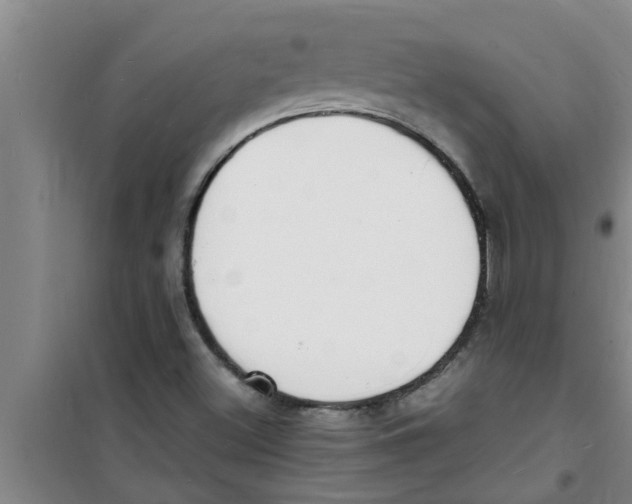 X0000100981500200807221221