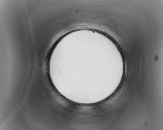 X0000100981501200807221221