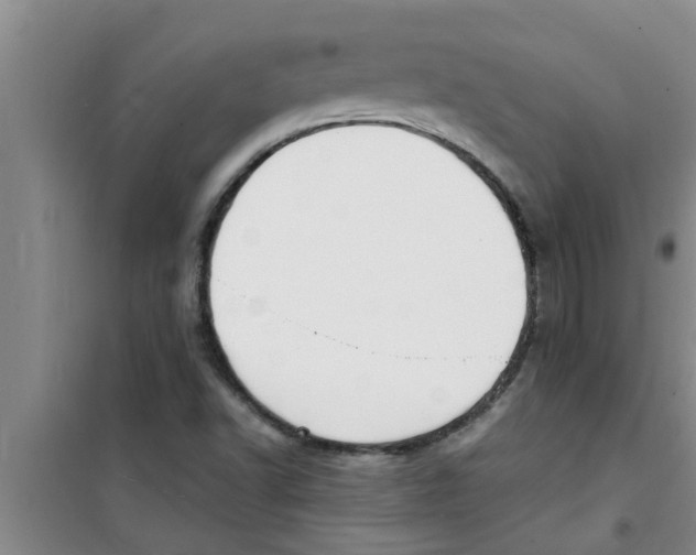 X0000100981502200807221221