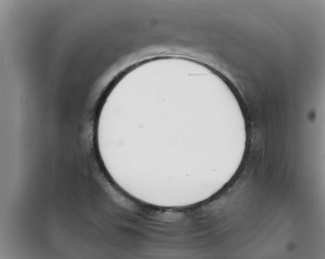 X0000100981503200807221221