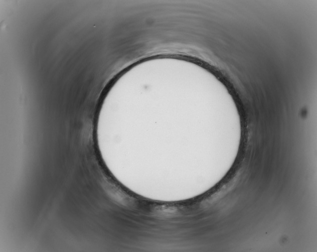 X0000100981505200807221221