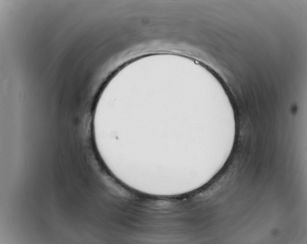 X0000100981507200807221221