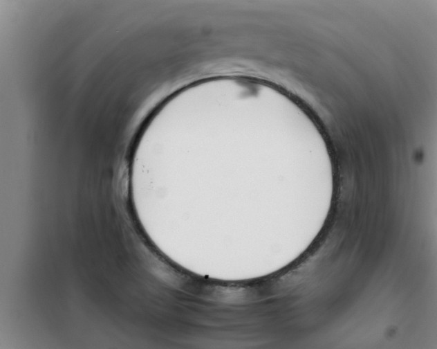 X0000100981509200807221221