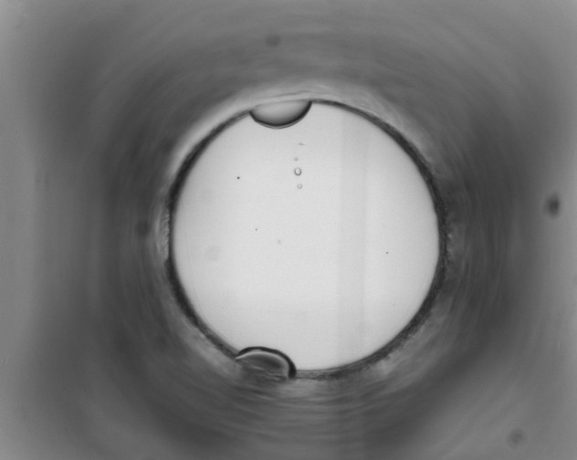 X0000100981510200807221221