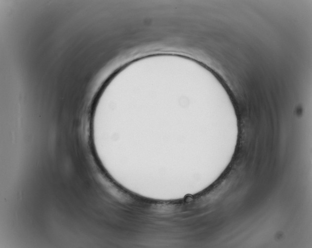 X0000100981511200807221221