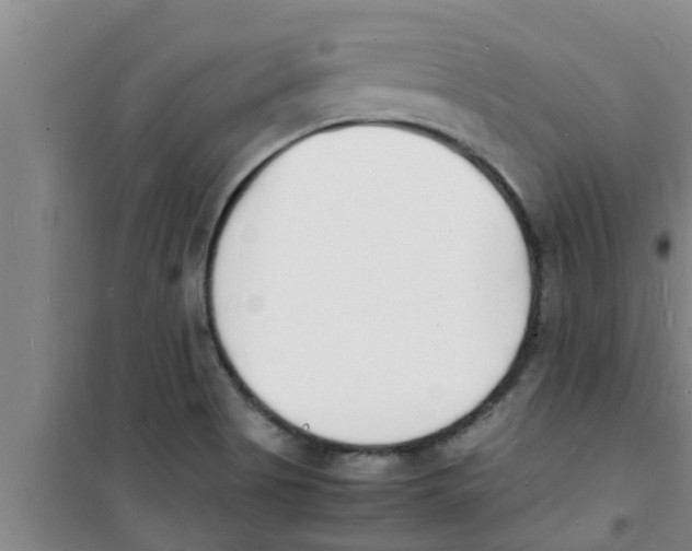 X0000100981513200807221221