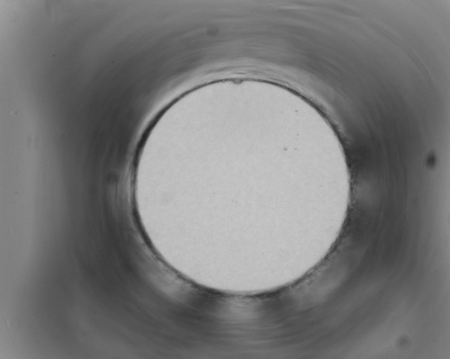 X0000100981514200807221221