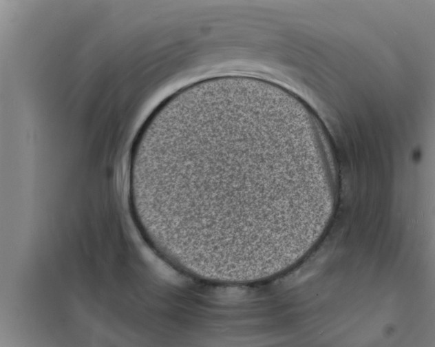 X0000100981515200807221221