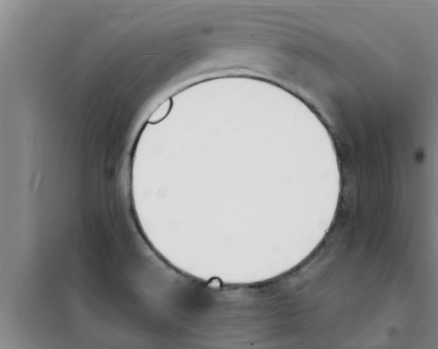 X0000100981516200807221221