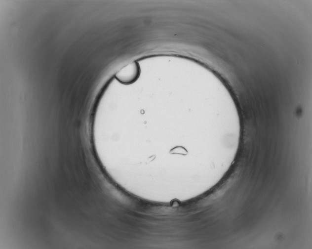 X0000100981517200807221221