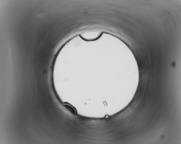 X0000100981518200807221221