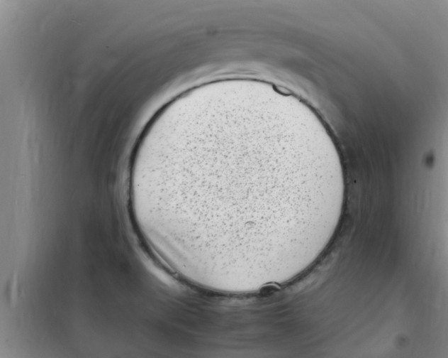 X0000100981519200807221221