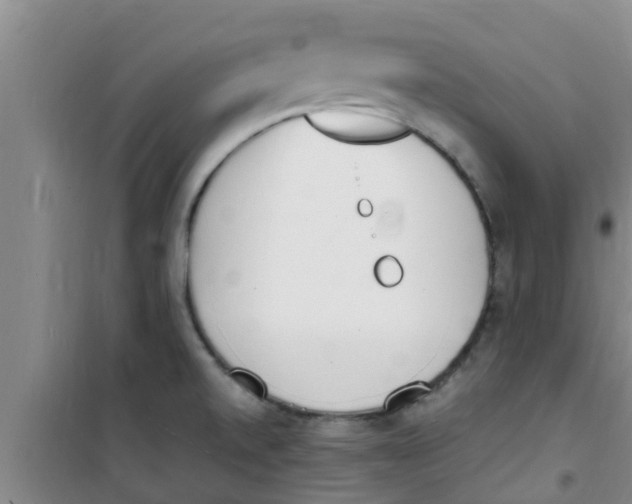 X0000100981520200807221221