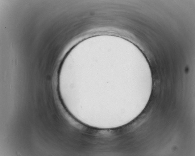 X0000100981523200807221221