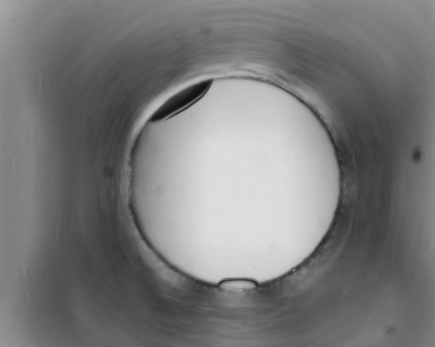 X0000100981524200807221221