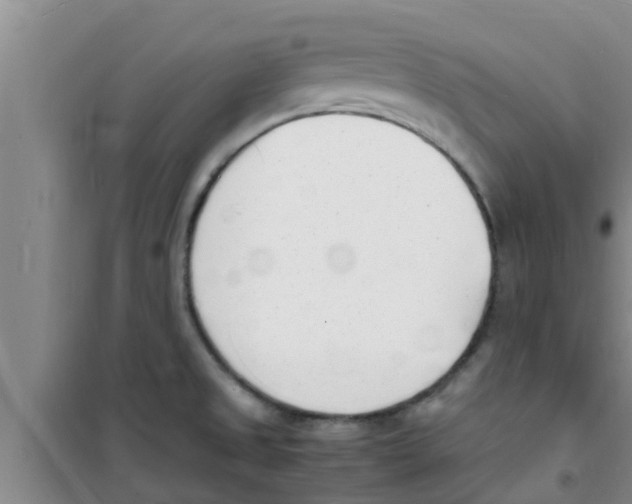 X0000100981525200807221221