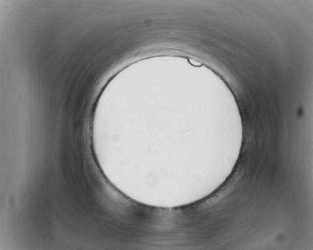 X0000100981526200807221221