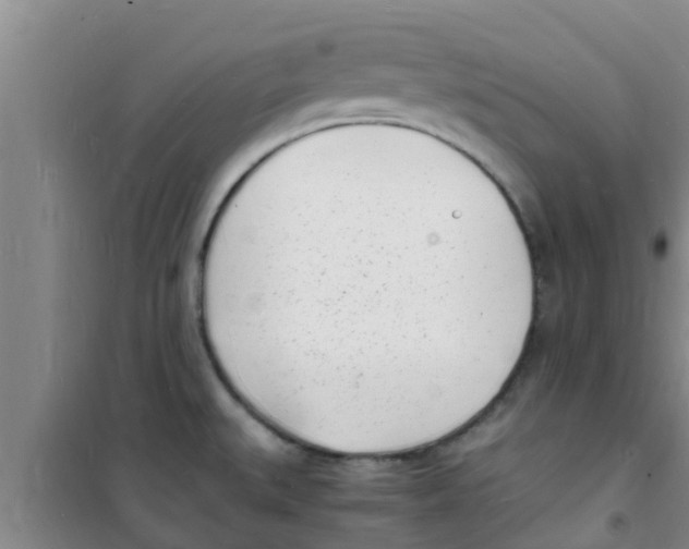 X0000100981527200807221221