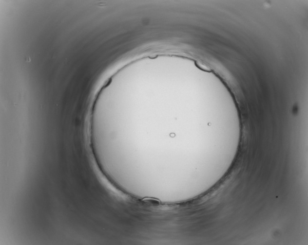 X0000100981528200807221221