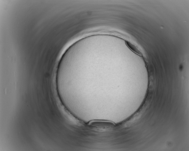 X0000100981530200807221221