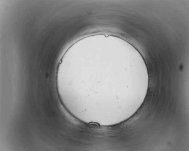 X0000100981532200807221221