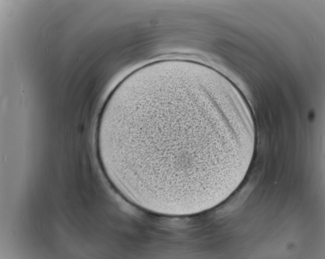 X0000100981533200807221221